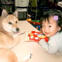 柴犬に育てられた女の子→ワンコが亡くなってしまい…涙が止まらない『命のバトン』が287万再生「泣いてしまった」「尊い」「家族って素敵」