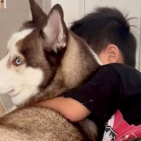 お姉ちゃんとのケンカに負けた男の子→大型犬が涙を舐めて…愛に溢れている『あまりにも尊い光景』に反響「仲良しさんだね」「癒される」