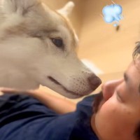 おならの音を『口で真似した』結果→大型犬が…面白すぎる『まさかの反応』が430万再生「最近で1番笑ったｗｗ」「どういう感情なのｗ」と絶賛