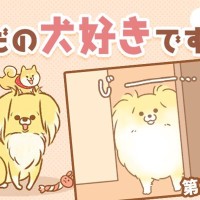 ただの犬好きです。【第334話】「入らない理由」