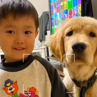 小さな男の子と大型犬の赤ちゃんが『６ヶ月間過ごした結果』…涙が出るほど尊い『兄弟のように育っている様子』が話題「幸せいっぱい掴もうね」