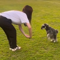 お姉ちゃんと息ぴったりでトレーニングする犬→ママがやってみた結果…コントのような『違いすぎる光景』が11万再生「最後ｗ」「センスある」