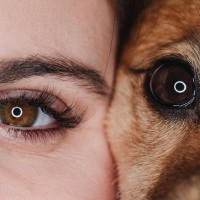 犬の『視力』は犬種ごとに違うって本当？種類別の傾向や人間との見え方の違いも解説