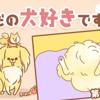 ただの犬好きです。【第335話】「仰向け寝」