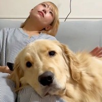 大型犬に膝枕をしてあげる女性→撫でるのをサボっていたら…まるでカップル？人間味あふれる行動が147万再生「彼氏系犬ｗ」「なんか泣けた」