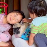 小さい男の子と女の子が『犬を溺愛した』結果→2人でそばに寄り添い…涙あふれる『幸せな光景』が13万再生「優しさしかない…」海外からも絶賛