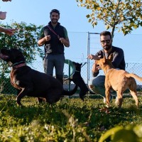 気が付けば犬一色の生活に？『愛犬家あるある』8選　ついやりがちな行動から気をつけたいことまで