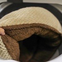 犬の『ベッド』やってはいけない洗い方５選　清潔に保つためのお手入れ方法までご紹介