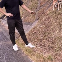 犬の散歩中に『大きい車が通った』結果→思った以上にビビってしまい…まさかの行動に2万いいね「ヤギみたいｗｗ」「危機管理能力が高め」