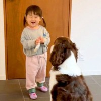 2歳の女の子が『犬にオヤツをあげた』結果…いつまでも見ていたい『尊すぎる時間』が32万再生「おしまいの顔たまらん」「ほのぼのしちゃう」