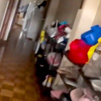 家に帰り『犬が駆け寄ってくる』と思いきや、見当たらず…予想を超えてきた『まさかの擬態』が63万再生「綺麗にハマってるｗ」「全てが可愛い」