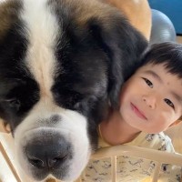いつも一緒にいた大型犬が『天国へ旅立った日』→小さい男の子が朝４時に起きてきて…涙があふれて止まらない『最後の日の様子』に反響