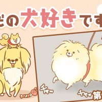ただの犬好きです。【第336話】「チラ見せ」