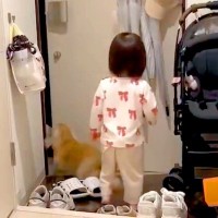 パパが海外出張から帰宅→小さな娘と犬が玄関で待っていて…尊すぎる『全力のおかえりなさい』が647万表示「幸せそう」「平和で可愛い」の声