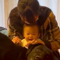 赤ちゃんと一緒に入院から帰ってきたら、大型犬が…思わず感動する『６日ぶりのおかえりなさい』が10万再生「大切な兄妹なんだ」「嬉しそう」