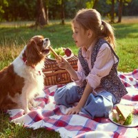 犬が『食事中に遊ぶ』のをやめさせたほうがいい理由4つ　起こりうる問題から改善策まで