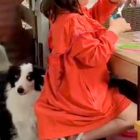 女の子のことが好きすぎる犬→作業中もずっと足元で待っていて…愛に溢れている『従順な光景』に反響「控えめに寄り添ってる」「めっちゃ可愛い」