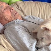 昼下がり、ソファで寝るおじいちゃん→16歳の老犬が添い寝をして…ずっと見ていたい『可愛すぎる光景』が3万再生「涙出る」「まったり感好き」