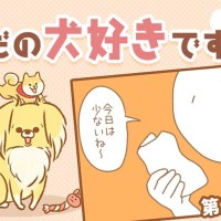 ただの犬好きです。【第337話】「チェック」
