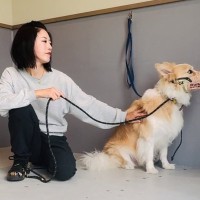 怖がりで本気噛みをしてしまう犬…真摯に向き合った結果→涙が溢れる『嘘のような変化』が408万再生「表情が違う…」「本当は甘えん坊さん」