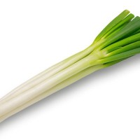 犬に絶対NGな『冬の食材』４選　万が一食べてしまった場合の危険な症状や対策まで