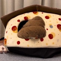 ハウスに立てこもっている犬に『おやつだよ』と伝えたら、次の瞬間…『想像以上の反応』が14万再生「お茶目で可愛すぎるｗ」「ヤドカリ犬」