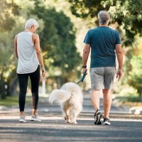 高齢犬に絶対NGな『散歩方法』５選　体に悪影響をもたらすリスクや改善策まで