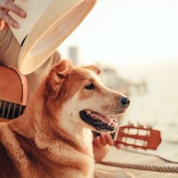 犬がご機嫌になる『音』５選　愛犬が大喜びする理由や音を聞かせるときの注意点とは？