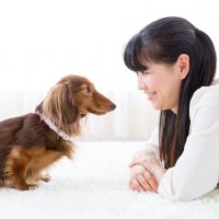 犬が『飼い主をじーっと見つめる』理由5つ　どんな意味があるの？凝視してきたときの注意点まで