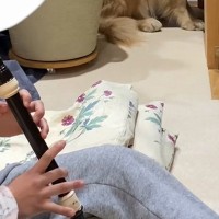 子どもが犬の前で『リコーダーの練習』をしていたら…あからさまな『表情』が面白すぎると16万再生「お目目シバシバ」「かわいいｗｗ」と爆笑
