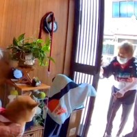 腰の手術をしたおばあちゃん→久々に『犬と再会した』結果…もらい泣きする『素敵すぎる光景』が47万再生「無償の愛…」「足音が最高」と感動