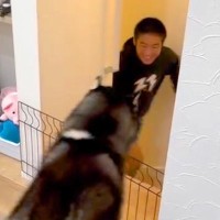 寮から１ヶ月ぶりに帰宅した男の子→大型犬と再会した瞬間…思わず涙腺が緩む『愛溢れる光景』に反響「最高だね」「見てるだけで幸せになる」