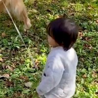 小さい男の子が大型犬のリードを持った結果→走ることもできるのに…『驚きの行動』に感動が止まらないと絶賛「賢すぎる」「歩調に合わせてる」
