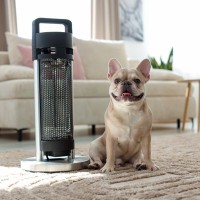 犬の留守番『適切な部屋の温度』とは？暖房機器を使用する際の注意点まで