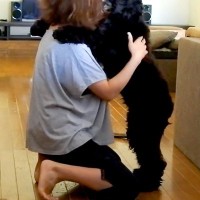 近所で救急車のサイレンが鳴った結果、犬が怖がり…まるで子供のような『ママに助けを求める光景』が7万再生「めちゃ可愛いｗ」「抱きしめたい」