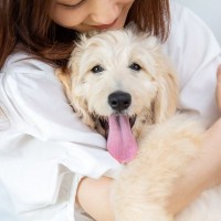 『優しい性格の犬』に育てる5つの方法　性質はどう決まるの？穏やかなワンコにみられる共通点まで