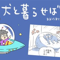 犬と暮らせば【第516話】「犬のフライング」