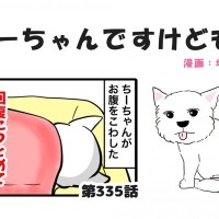 ちーちゃんですけどもっ【第335話】「冬の気温問題」