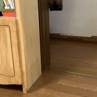 強面の大型犬に『新しいお皿』を使った結果→柄が違うだけなのに…見た目とは裏腹な『まさかの光景』が1万9000表示「心のサイズ感が可愛い」