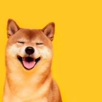 犬に飼い主が『話しかけるべき理由』4選　主なメリットや意識すべきことまで