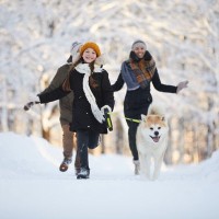 犬の『冬太り』を防ぐ方法4つ　あなたの愛犬は大丈夫？肥満がもたらす健康被害まで