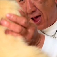 おじいちゃんが初めて『大型犬の子犬と会った』結果→まるで本当の孫のような『あまりにも尊い光景』が129万再生「涙が溢れた」「幸せ確定」