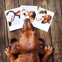 犬との『思い出を残す方法』4つ　愛犬との大切な記憶を形にするにはどうしたらいいの？注意点まで解説