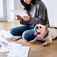 小型犬にかかる年間飼育費用とは？主な内訳や心構えしておくべき予想外の出費まで