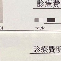 『犬たちの診療明細が捨てられない』思わず納得してしまう『可愛すぎる理由』に1万いいね集まる「初めて見た」「保管一択」と絶賛の声続々