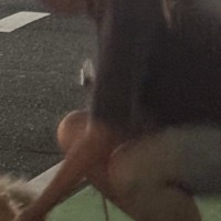 散歩中の犬が『全然抱っこしてくれない』とブチギレていたら、お父さんが…思わず笑う『迅速すぎる対応』が86万表示「残像で草」「プロの動き」