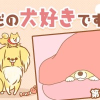 ただの犬好きです。【第338話】「寝起き」