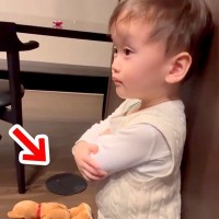 小さな男の子がお皿を割ったので叱ったら、大型犬が間に入って…愛に溢れた『ボディーガード』が30万再生「いい兄貴」「まとめてハグしたい」