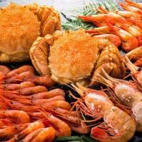 【獣医師監修】犬は甲殻類を食べても大丈夫？生食が危険な理由と与える場合の注意点などを解説