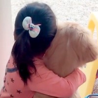 末っ子ちゃんと子犬が『一緒に大きくなった』結果…泣けてくるほど尊い『成長過程』が18万再生「素敵な関係に涙」「ずっと見てられる」と絶賛